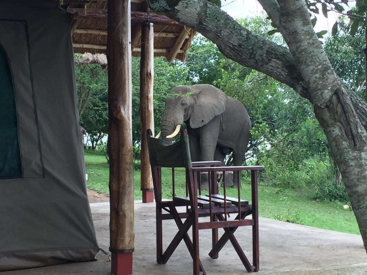 Queen Elizabeth Bush Lodge By Nature Lodges Ltd Katunguru ภายนอก รูปภาพ